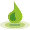 LIVING ROOF SYSTEMS – ATTRACTIVE, EFFICIENT, LONG LASTING & ENVIRONEMNTALLY FRIENDLY