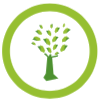 LIVING ROOF SYSTEMS – ATTRACTIVE, EFFICIENT, LONG LASTING & ENVIRONEMNTALLY FRIENDLY